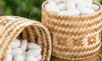Iran set to achieve self-sufficiency in hybrid silkworm egg production